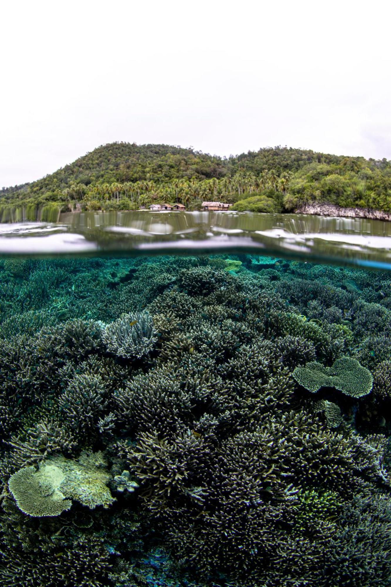 Mansuar Raja Ampat Bungalows Kri ภายนอก รูปภาพ