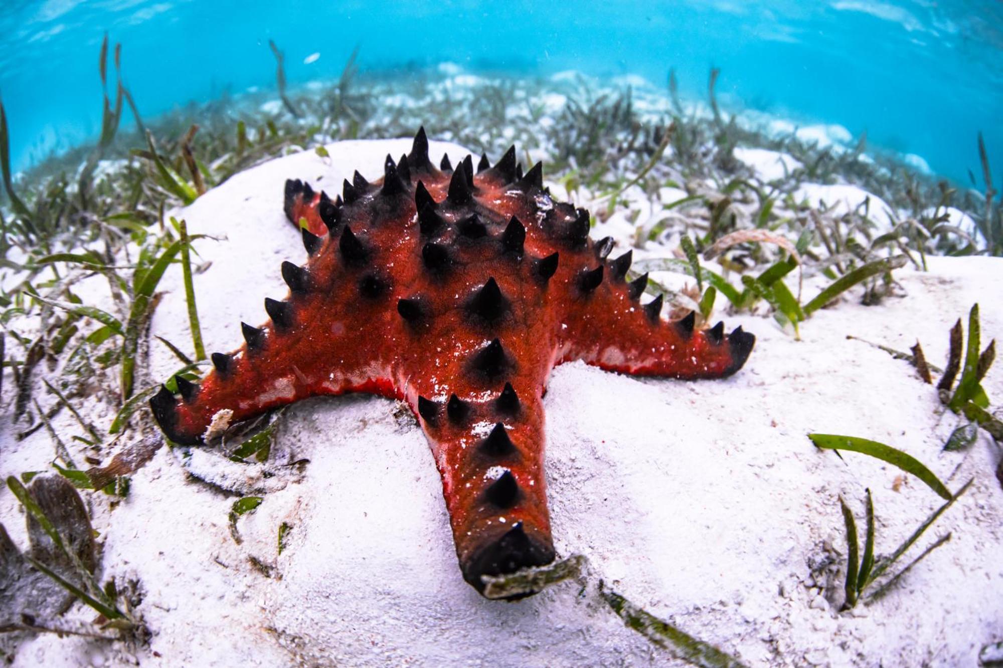 Mansuar Raja Ampat Bungalows Kri ภายนอก รูปภาพ
